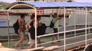 Diving in Koh Tao, Thailand | Don't Stay Put