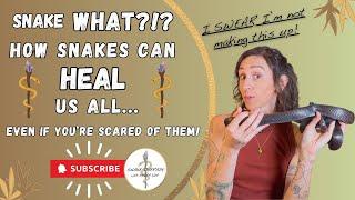 What the Heck is Snake Therapy?! Can It Help YOU?