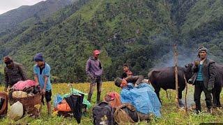 This is himalayan life in Our Village||NepalMost Peacefull and Relaxing Life In mY village