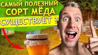 Какой выбрать мед ? Какие существуют ВИДЫ и СОРТА меда ? Полезные и целебные свойства меда !