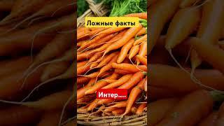 Правда или ложь?!О Еде! # факты # топ-10 #курьезы #документальные фильмы #списки #знания