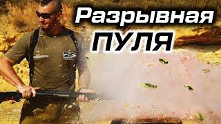 Разрывная пуля VS картечь. Выстрел в арбуз из дробовика