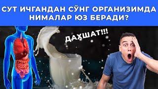 ДАХШАТ!!! СУТ ИЧГАНДАН СЎНГ ОРГАНИЗИМДА НИМАЛАР ЮЗ БЕРАДИ?