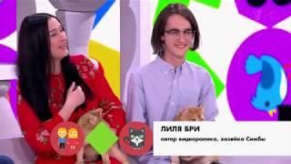 Лиля Бри и котики на Первом канале