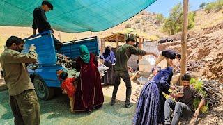 🪵"The Amir Family's Adventure: Gathering Firewood in the Wilderness!"