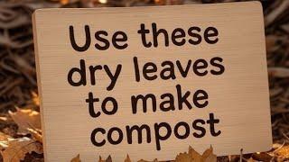 How to Make Dry Leaves Compost – Step by Step for Rich, Healthy Soil