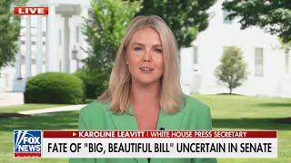Trump Press Secy suffers LIE STROKE on live TV