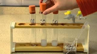 Gas Tests: The Tests for Carbon Dioxide, Oxygen and Hydrogen