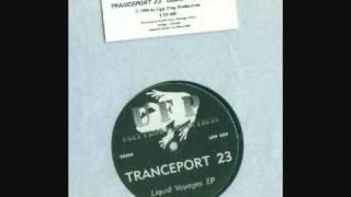 Tranceport 23 - Heavenly Feelings (CLASSIC 1994)