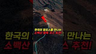 소백산 철쭉 곧 절정! 제대 즐기려면 이 코스로 가셔야 합니다!