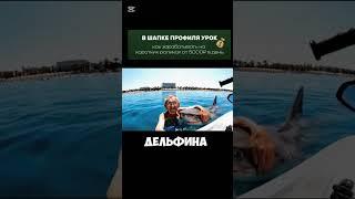 #море #отдых #юмор #жизнь #рекомендации  #shorts #заработать #онлайнработа #доход