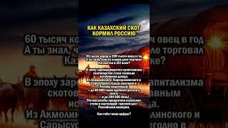 МЯСО ИЗ КАЗАХСТАНА В РОССИЮ      #история #казахстан #россия