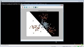 20   Building a Linear Classifier Using Support Vector Machine