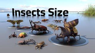 Insects Size Comparison | Bugs Size Comparison | Lenght and Weight