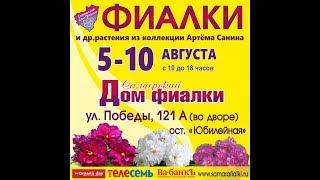 ВЫСТАВКА ФИАЛОК 5-10августа,Самарский Дом фиалки.