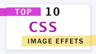 Top 10 CSS Image Hover Animation Effects 2021 | Pure CSS Image Effects Animation on hover Examples