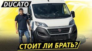 "Идеален!" — думали итальянцы. "Не совсем..." — сказали мы. Fiat Ducato 3 | Подержанные автомобили