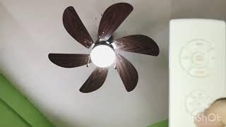 Installing and Testing 36” American Star Decorative Ceiling Fan Light l Unboxing