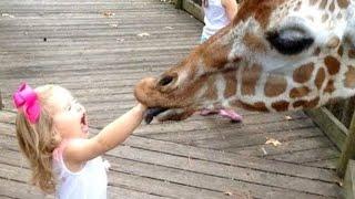 WAW FORGET CATS! Funny KIDS vs ZOO ANIMALS are WAY FUNNIER!   TRY NOT TO LAUGH