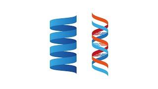 TUTORIAL | Creating a simple Helix/DNA in Adobe Illustrator