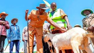 LIVE!! President Ruto & DP Kindiki Gracing the Annual Kimalel Goat Auction, Baringo County!!