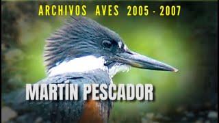 MARTÍN PESCADOR - Archivos Aves 2005 - 2007