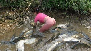 Full Videos: How To Catch Fish In The Wild, Traditional Fishing with Net, Catching a Lots of Fish