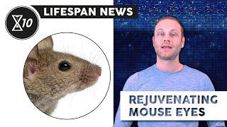 Reversing Cellular Age in Mice Restores Vision | Lifespan News