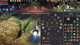 Treasure Krogdalo’s Stall - Black Desert Online