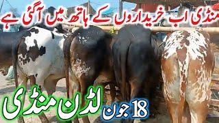 Luddan Cow Mandi Today Latest Update 18-06-2025 - Cow Mandi 2025 - Cholistani Bachre in Ludan Mandi