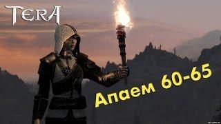 TERA online - Прокачка 60-65 (за 5 часов)