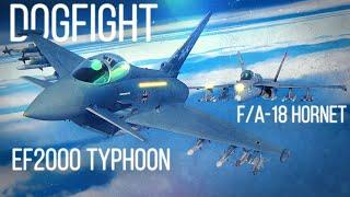 Eurofighter Typhoon Vs F/A-18 Hornet Dogfight | Digital Combat Simulator | DCS |