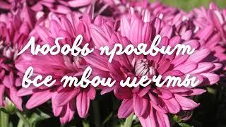 Любовь проявит все твои мечты