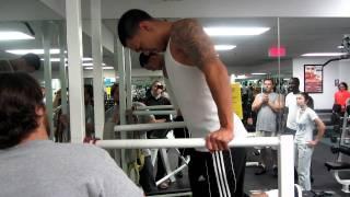 Alex 62 Dips
