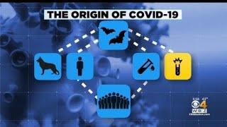 MIT Scientist Discusses Criticism After Suggesting COVID-19 Pandemic Was Sparked By Wuhan Lab Accide