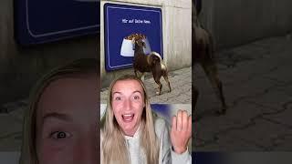 DOG FAILS!