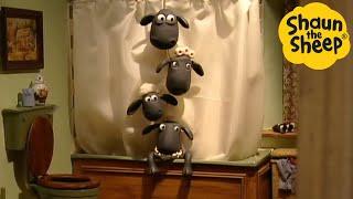 Shaun the Sheep  Hide in the Shower! - Cartoons for Kids  Full Episodes Compilation [1 hour]