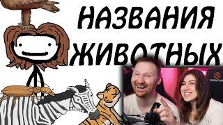 Откуда берутся научные названия животных | РЕАКЦИЯ на Академия Сэма О'Неллы