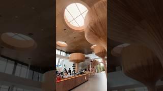 Found this beautiful cafe with floating islands high above our heads. San Rafael, Bangkok Thailand