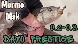 МОРМЫШИНГ С Dayo Prestige 0.2-0.8#мормышинг#рыбалка#мормоны