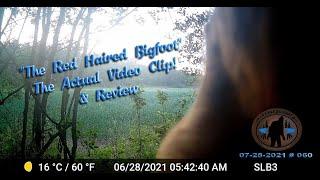 RED HAIRED BIGFOOT!?, The Actual Video Clip, Plus, Bonus Audio Files.