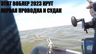 Этот воблер 2023 КРУТ- первая проводка и судак в лодке