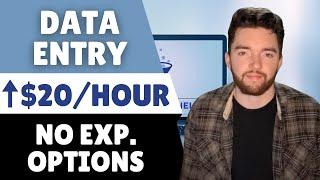 3 Newest Remote Data Entry Jobs for Beginners | No Experience Options