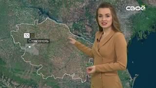 Новости Ставропольского края. Своё ТВ. Выпуск от 07.04.2020, 13:00