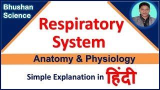 Anatomy and Physiology of Respiratory System Simple Explanation in Hindi | Bhushan Science