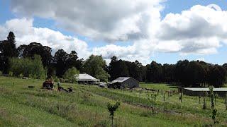 Black Barn Farm | Working Homes | realestate.com.au