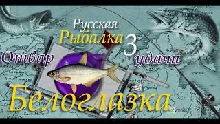 Русская рыбалка 3 99 Отвар удачи Белоглазка