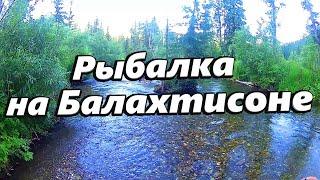 Рыбалка на хариуса летом на р.Балахтисоне.