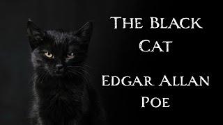 The Black Cat by Edgar Allan Poe | An Audiobook Narration