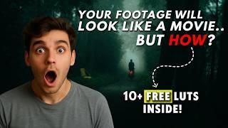 10+ FREE Cinematic Moody Luts for Premiere Pro | Free Cinematic Luts